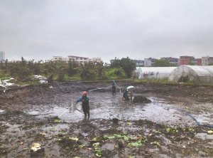 萍乡河道鱼塘清淤